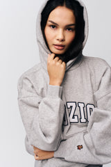 Guizio Pullover Hoodie in Heather Grey