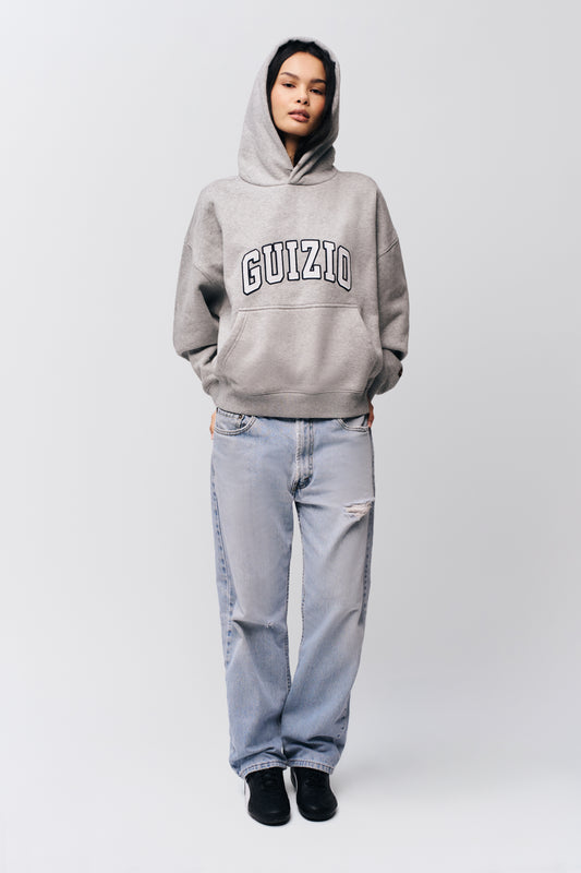 Guizio Pullover Hoodie in Heather Grey